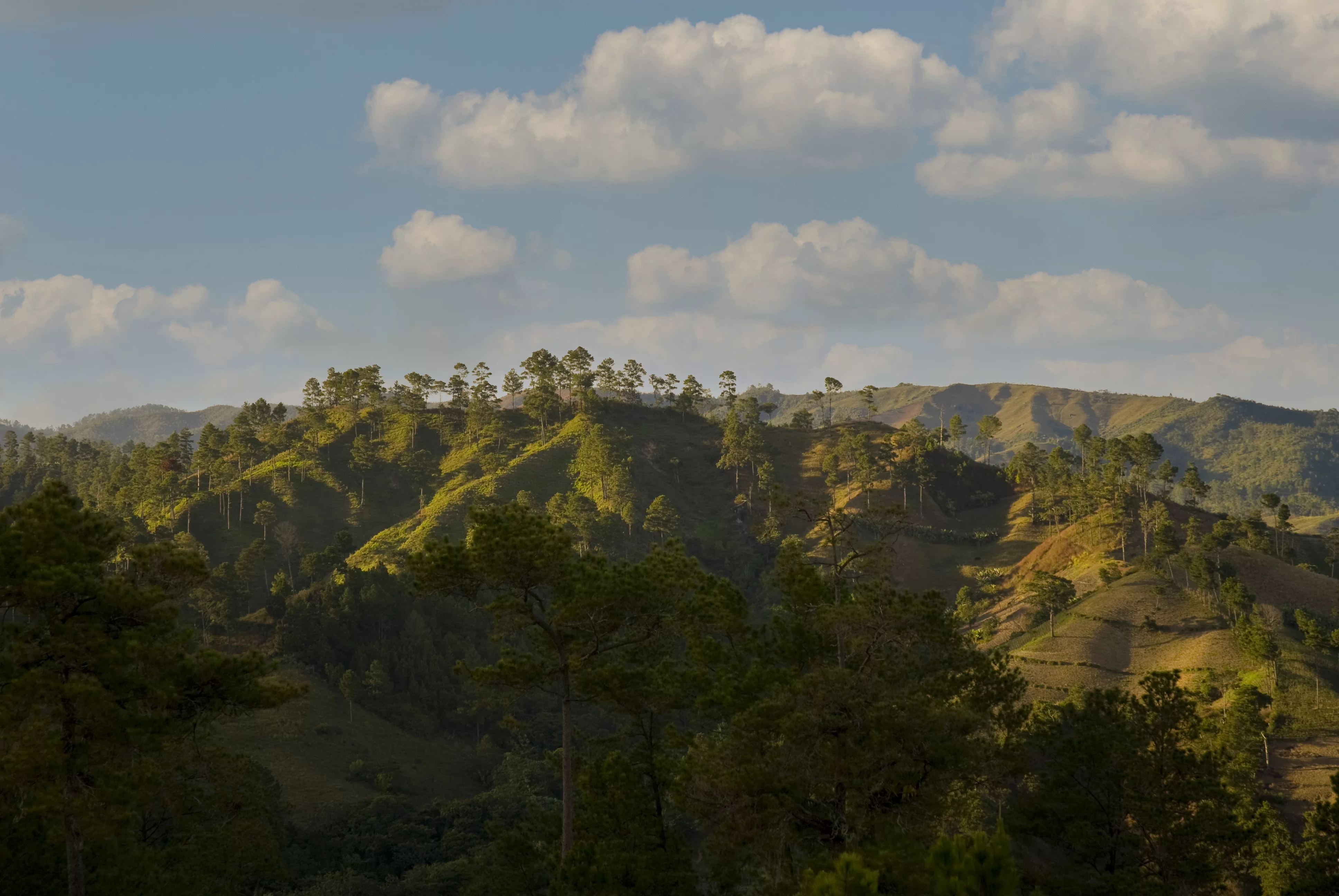 les engagements éthiques de la maison caron